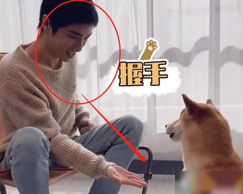 狗子的最新爆料视频,娱乐圈幕后真相大曝光! 第3张 狗子的最新爆料视频,娱乐圈幕后真相大曝光! 第3张